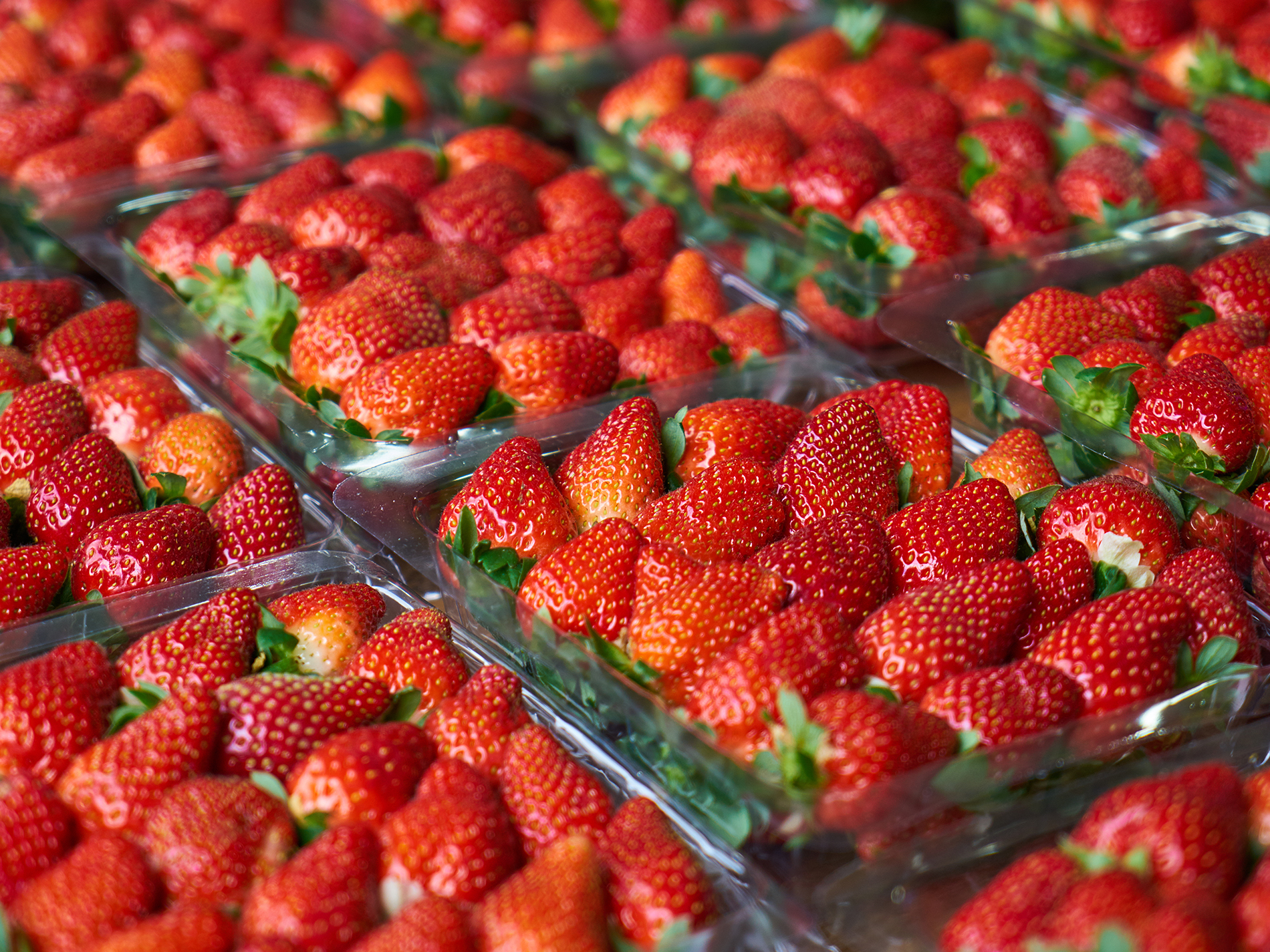 Header - truskawka liofilizowana - ChrupoSfera